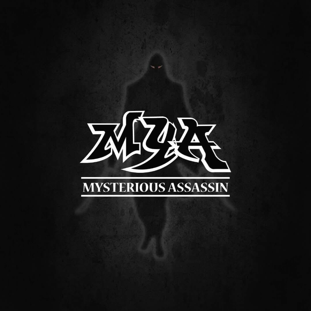 Mysterious Assassin